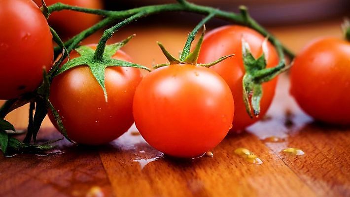 포토 JPG 해외이미지 식물 음식 백그라운드 잎 농업 다이어트 토마토 채소 과일 재료 자연 건강 요리 사람없음 빨간색 초록색 빛 식사 활발 샐러드 성장 흰색 신선 원형 시장 맛 케첩 먹기 오브젝트 싱글 유기농 원예 날것 내추럴 고립 숙성 영양분 채식주의자 해외포토 도형 웰빙 산업 컬러 컨셉 모션 취미 소스_음식 생태계 채식 파일형식 이미지허브