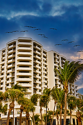 포토 JPG 해외이미지 나무 선 비즈니스 건축양식 유리 호텔 새로움 손바닥 사람없음 야외 건물 빛 묘사 해외포토 식물 건축물 손 건축 컨셉 재질 숙소 파일형식 이미지허브