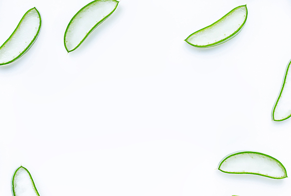 포토 JPG 해외이미지 스튜디오촬영 단면 실내 사람없음 하이앵글 뷰티 흰배경 알로에 해외포토 식물 뷰포인트 백그라운드 내부 흰색 파일형식 이미지허브