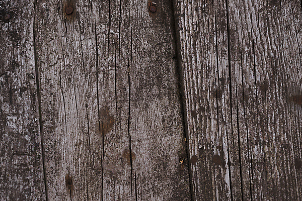 포토 JPG 해외이미지 나무 디자인 벽 백그라운드 패턴 자연 벽지 표면 날씨 추상 사람없음 목재 장식 울타리 갈색 어둠 손상 회색 수확 골동품 시골 판넬 거친 균열 널 낟알 묘사 질감 복고 내추럴 그런지 엘리먼트 옛날 중고 노화 해외포토 식물 컬러 컨셉 무늬 농업 재료 모션 담장 생태계 파일형식 이미지허브