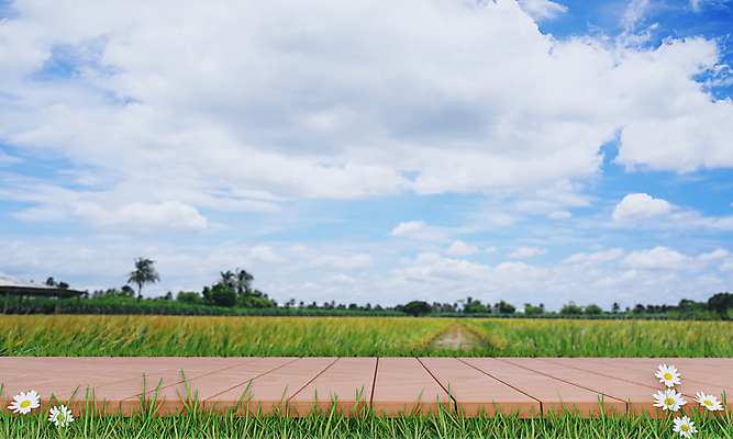 포토 JPG 해외이미지 식물 구름 공원 꽃 길 백그라운드 밭 농업 태국 자연 하늘 밥 풍경 잔디 사람없음 야외 목재 초록색 여름 햇빛 농장 환경 정원 맑음 일몰 봄 산책 성장 시골 신선 널 숲 오솔길 땅 질감 내추럴 방법 밭일 작살 해외포토 자연요소 나무 계절 공공시설 산업 아시아 음식 컬러 재료 날씨 휴식 태양 노을 생태계 파일형식 이미지허브