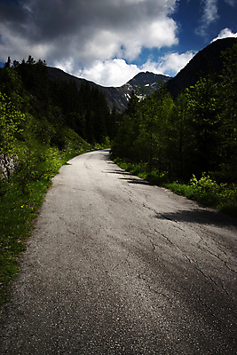 포토 JPG 해외이미지 나무 계절 유럽 길 여행 백그라운드 자국 자연 하늘 산 사람없음 야외 초록색 파란색 계곡 봄 하이킹 회색 시골 숲 언덕 장면 내추럴 슬로바키아 해외포토 식물 나라 컬러 레저 생태계 파일형식 이미지허브
