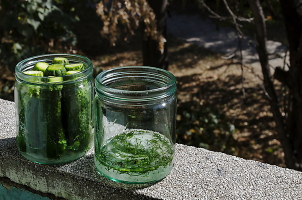 포토 JPG 해외이미지 전통 음식 백그라운드 2 농업 채소 재료 자연 유리 양파 오이 건강 사람없음 물 주방 샐러드 수확 신선 항아리 닫기 설탕 먹기 준비 유기농 날것 피클 소금 정리 내추럴 딜 불가리아 식초 채식주의자 홈메이드 해외포토 자연요소 웰빙 산업 모션 재질 도자기 생태계 채식 만들기 절임 파일형식 남유럽 이미지허브