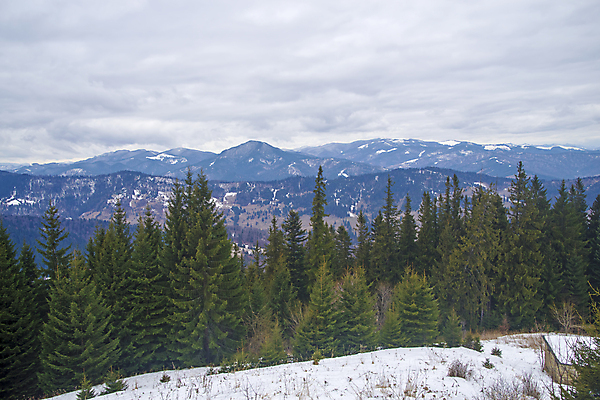 포토 JPG 해외이미지 나무 계절 공원 유럽 여행 백그라운드 크리스마스 겨울 자연 하늘 아침 산 파노라마 사람없음 야외 그래픽 초록색 파란색 햇빛 뷰티 계곡 하이킹 추위 안개 흰색 소나무 정상 숲 큼 언덕 먼지 장면 침엽수 전나무 절정 눈내림 가문비나무 해외포토 주간 식물 공공시설 기념일 나라 컬러 레저 날씨 눈_날씨 촬영기법 태양 크기 생태계 파일형식 이미지허브