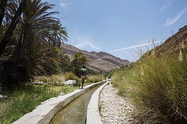 포토 JPG 해외이미지 식물 농업 자연 휴가 산 건조 풍경 사람없음 야외 초록색 물 관광지 강 태양 농장 여행객 걷기 정원 골짜기 계곡 놀람 하이킹 사막 탐험 호기심 운하 아라비아 시스템 내추럴 밭일 오지 지질학 카피스페이스 그리너리 해외포토 자연요소 교육 감정 산업 컬러 여행 컨셉 모션 레저 표정 사람 공백 생태계 파일형식 트랜드컬러 이미지허브