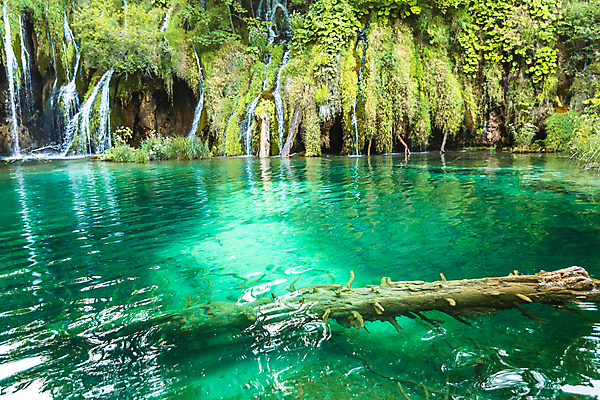 포토 JPG 해외이미지 나무 식물 공원 유럽 호수 여행 백그라운드 자연 산 풍경 사람없음 야외 초록색 물 여름 파란색 강 뷰티 여행객 봄 폭포 가을 연못 개울 숲 크로아티아 내추럴 생태학 전국 해외포토 자연요소 계절 공공시설 교육 나라 컬러 사람 생태계 파일형식 이미지허브