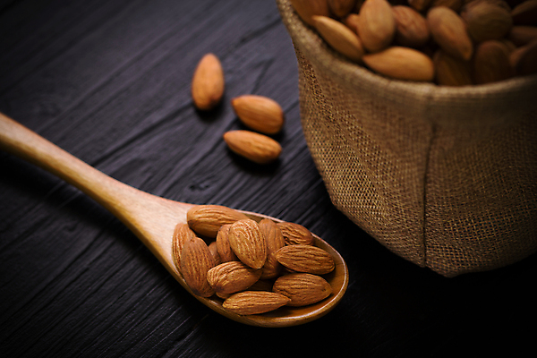 포토 JPG 해외이미지 백그라운드 재료 사람없음 목재 견과류 날것 자루 아몬드 해외포토 나무 파일형식 이미지허브