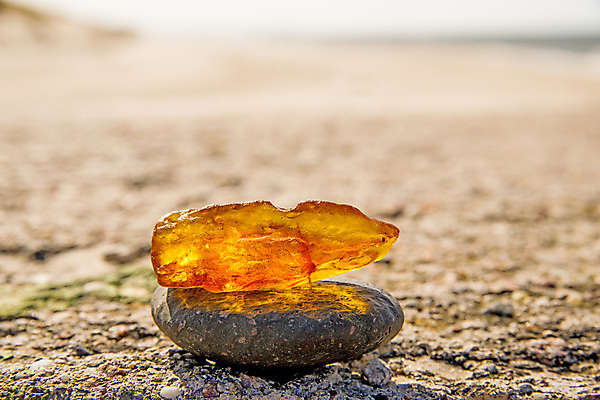 포토 JPG 해외이미지 자연 사람없음 빛 주황색 투명 보석 화석 앰버 해외포토 컬러 광석 생태계 파일형식 이미지허브