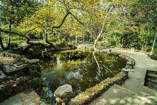 포토 JPG 해외이미지 나무 공원 자연 휴가 휴식 어류 풍경 사람없음 초록색 물 연못 그리스 그리스인 해외포토 자연요소 서양인 식물 공공시설 유럽 컬러 컨셉 수중동물 생태계 파일형식 이미지허브