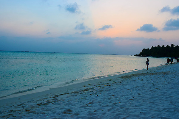 포토 JPG 해외이미지 나무 식물 모래 바다 섬 여행 백그라운드 자연 하늘 휴가 휴식 손바닥 그림자 풍경 사람없음 물 여름 파란색 햇빛 태양 맑음 침묵 시골 휴양지 코코넛 천국 석호 몰디브 이국적 터키석 파라다이스 해외포토 자연요소 손 계절 아시아 컬러 컨셉 과일 날씨 소리 장소 보석 생태계 파일형식 이미지허브