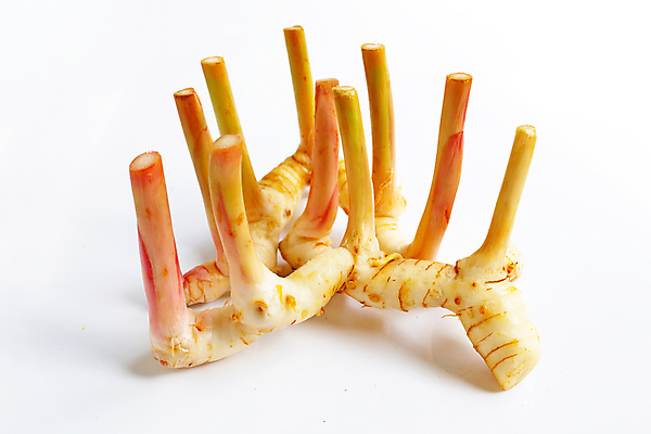 포토 JPG 해외이미지 줄기 실내 사람없음 여러개 흰배경 생강 해외포토 식물 다수 백그라운드 채소 내부 흰색 파일형식 이미지허브