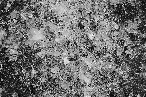 포토 JPG 해외이미지 음식 백그라운드 흑백 사람없음 치킨 뜨거움 프라이팬 밀대 내추럴 해외포토 주방용품 촬영기법 닭고기요리 파일형식 이미지허브