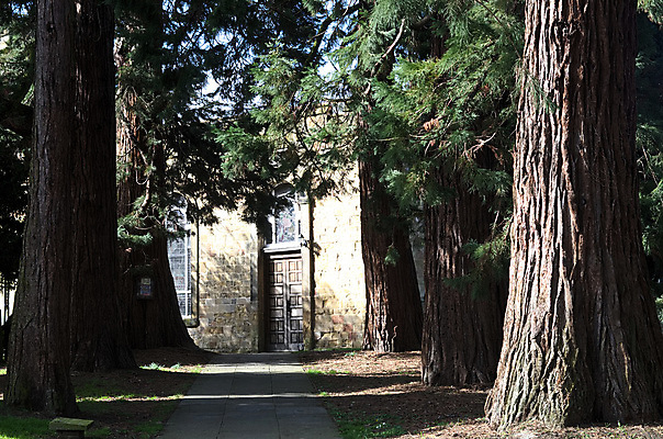 포토 JPG 해외이미지 나무 길 영국 잉글랜드 사람없음 건물 교회 여행객 역사 큼 서비스 북쪽 덩어리 숭배 해외포토 식물 건축물 유럽 종교건축 사람 크기 방향 파일형식 이미지허브