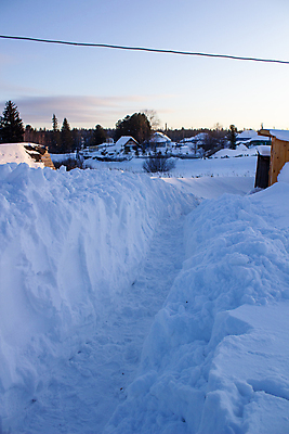 포토 JPG 해외이미지 나무 계절 유럽 겨울 자연 하늘 날씨 휴가 거리 주택 사람없음 야외 목재 울타리 마을 환경 맑음 냉동 얼음 침묵 추위 흰색 시골 소나무 오두막 청소 시골집 서리 장면 북쪽 눈보라 뒤뜰 러시아인 우크라이나 눈내림 해외포토 자연요소 서양인 식물 나라 컬러 재료 눈_날씨 건물 담장 소리 방향 생태계 파일형식 이미지허브