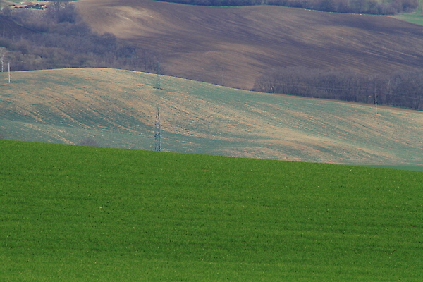 포토 JPG 해외이미지 나무 유럽 야생동물 여행 밭 자연 벽지 휴가 파노라마 그림자 사람 사람없음 야외 초록색 컬러풀 태양 와인 맑음 놀람 봄 산책로 언덕 만족 그림 지역 체코 남쪽 공화국 토스카나 모라비아 해외포토 자연요소 식물 동물 계절 감정 나라 길 컬러 농업 날씨 주류 촬영기법 표정 이탈리아 방향 생태계 파일형식 이미지허브