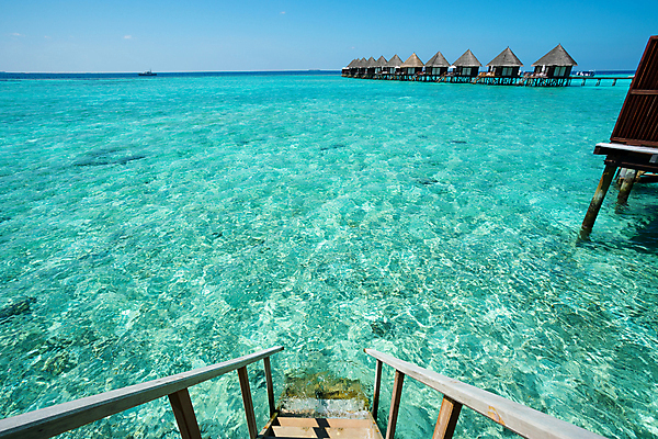 포토 JPG 해외이미지 나무 모래 바다 섬 여행 백그라운드 자연 하늘 휴가 주택 풍경 사람없음 물 여름 파란색 태양 일출 일몰 고급 빌라 휴양지 몰디브 이국적 파라다이스 해외포토 자연요소 식물 계절 아시아 컬러 컨셉 건물 노을 장소 생태계 파일형식 이미지허브