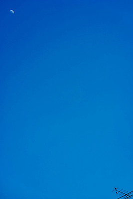 포토 JPG 해외이미지 백그라운드 태국 자연 조류 하늘 추상 안테나 경고 사람없음 야외 파란색 빛 컬러풀 탑 검은색 새벽 인공위성 달 흰색 정상 가득함 언덕 멀리 내추럴 넘어짐 해외포토 자연요소 동물 건축물 아시아 컬러 무늬 통신 모션 생태계 파일형식 이미지허브