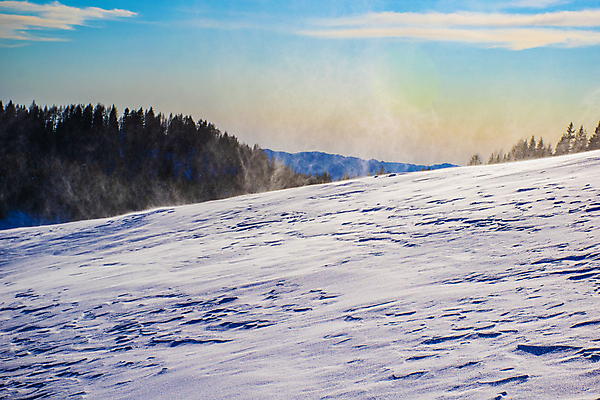 포토 JPG 해외이미지 나무 구름 계절 유럽 여행 겨울 자연 하늘 바람 날씨 휴가 산 파노라마 풍경 사람없음 야외 파란색 얼음 힘 이탈리아 산책 트래킹 흰색 서리 알프스 폭풍 내추럴 절정 눈내림 해외포토 자연요소 식물 나라 컬러 레저 휴식 눈_날씨 촬영기법 생태계 파일형식 이미지허브
