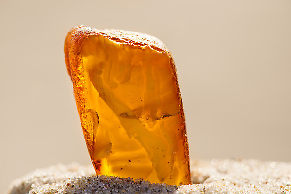 포토 JPG 해외이미지 자연 사람없음 빛 주황색 투명 보석 화석 앰버 해외포토 컬러 광석 생태계 파일형식 이미지허브