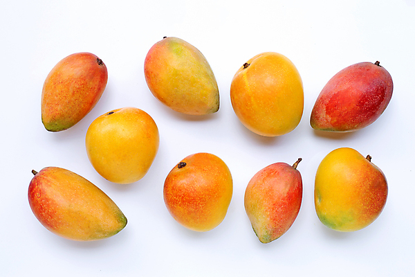 포토 JPG 해외이미지 실내 사람없음 여러개 열대과일 흰배경 망고 애플망고 해외포토 다수 백그라운드 과일 내부 흰색 파일형식 이미지허브