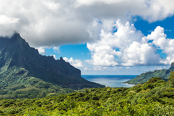 포토 JPG 해외이미지 모래 바다 섬 여행 자연 하늘 호텔 휴가 휴식 산 손바닥 풍경 사람없음 야외 물 여름 파란색 신혼여행 고급 휴양지 태평양 방갈로 폴리네시아 석호 몰디브 프랑스어 이국적 터키석 파라다이스 해외포토 자연요소 문자 손 계절 아시아 컬러 결혼 컨셉 숙소 장소 오세아니아 보석 생태계 파일형식 이미지허브