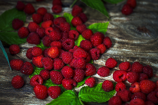 포토 JPG 해외이미지 모양 식물 열매 음식 백그라운드 잎 다이어트 과일 재료 자연 디저트 건강 사람없음 목재 가로 빨간색 초록색 컬러풀 활발 신선 그룹 사발 닫기 달콤 맛 먹기 유기농 질감 날것 산딸기 내추럴 숙성 채식주의자 카피스페이스 디톡스 비건 해외포토 나무 웰빙 컬러 컨셉 모션 공백 사기그릇 생태계 채식 파일형식 이미지허브