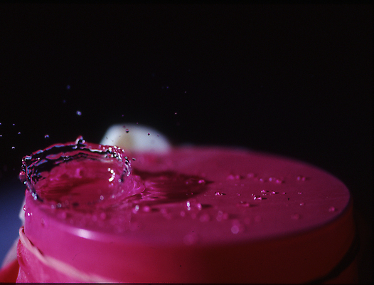 포토 JPG 해외이미지 검은배경 사람없음 아웃포커스 물방울 떨어짐 오브젝트 스플래쉬 트렌드컬러 비바마젠타 해외포토 컬러 백그라운드 컨셉 촬영기법 검은색 파일형식 이미지허브