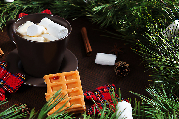 포토 JPG 해외이미지 나무 계절 커피 음료 음식 백그라운드 크리스마스 겨울 탁자 휴가 디저트 새로움 기념 프레임 선물 사람없음 목재 장식 컵 빨간색 초록색 장난감 갈색 축제 머그컵 흰색 나뭇가지 시골 축하 소나무 뜨거움 신용카드 달콤 연도 전나무 원뿔 마시멜로우 시나몬 옛날 핸드메이드 가문비나무 해외포토 도형 식물 식기 기념일 컬러 가구 컨셉 재료 금융 맛 파일형식 이미지허브