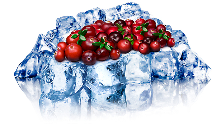 포토 JPG 해외이미지 열매 클리핑패스 잎 사람없음 빨간색 냉동 얼음 흰색 거친 흙더미 찌그러짐 고립 크랜베리 해외포토 자연요소 식물 컬러 컨셉 흙 파일형식 더미 이미지허브