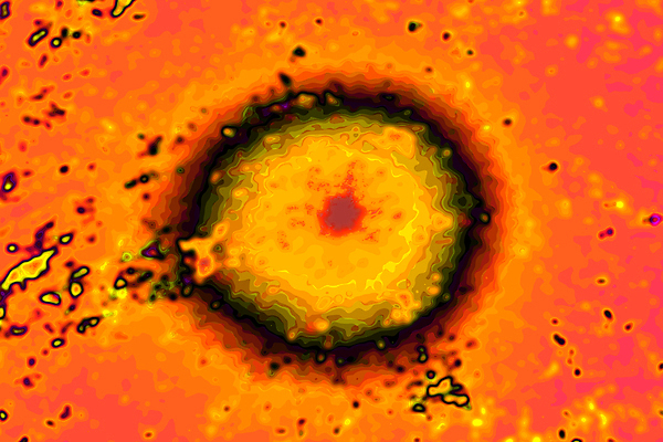 포토 JPG 해외이미지 디자인 종이 백그라운드 패턴 오렌지 일러스트 벽지 추상 새로움 아이디어 세포 창조 미술 사람없음 컴퓨터그래픽 가로 노란색 검은색 공백 수확 원형 플랫 바이러스 그림 질감 문서 색동 그런지 대칭 환각 카피스페이스 해외일러스트 도형 컬러 컨셉 무늬 농업 과일 문화예술 그래픽 증상 파일형식 이미지허브