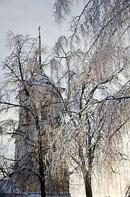 포토 JPG 해외이미지 나무 계절 겨울 자연 하늘 날씨 그림자 풍경 사람없음 야외 파란색 빛 햇빛 뷰티 반사 교회 냉동 얼음 침묵 추위 흰색 나뭇가지 시골 신선 시원함 크리스탈 순수 서리 장면 종탑 자작나무 1월 벌거벗은 해외포토 자연요소 식물 컬러 컨셉 종교건축 건물 태양 탑 소리 날짜 광석 생태계 파일형식 이미지허브