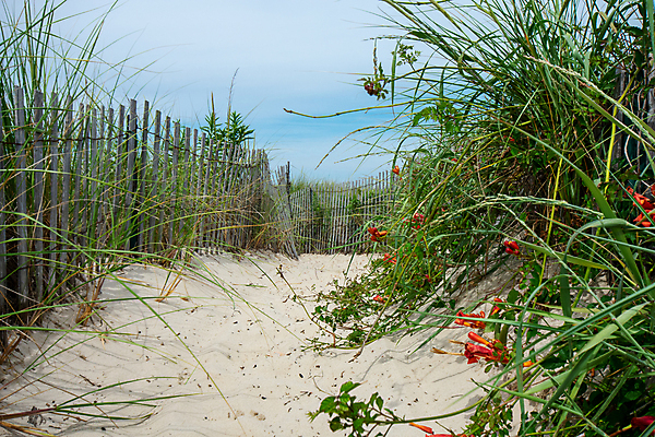 포토 JPG 해외이미지 구름 행복 길 모래 파도 여행 컨셉 자연 하늘 휴가 휴식 바닥 따뜻함 풍경 사람없음 야외 목재 가로 물 파란색 울타리 컬러풀 태양 뷰티 평화 일출 고요 일몰 산책 신선 오솔길 모래언덕 단상 굴곡 터키석 해외포토 자연요소 나무 감정 바다 컬러 재료 담장 노을 보석 언덕 생태계 파일형식 이미지허브