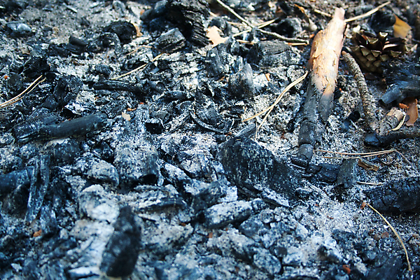 포토 JPG 해외이미지 모래 백그라운드 패턴 자연 표면 추상 폭죽 따뜻함 사람없음 야외 목재 빛 쌓기 환경 검은색 회색 에너지 흰색 뜨거움 그릴 숲 위험 모닥불 바비큐 묘사 벽난로 질감 화석 숯 내추럴 그런지 석탄 썩음 재 화상 해외포토 나무 음식 컬러 컨셉 무늬 재료 모션 주방용품 불 상처 생태계 파일형식 이미지허브