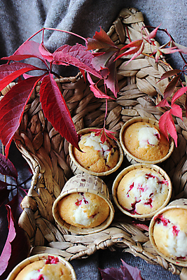 포토 JPG 해외이미지 스튜디오촬영 잎 사람없음 빨간색 볏짚 컵케이크 오브젝트 해외포토 식물 컬러 실내 케이크 짚 파일형식 이미지허브