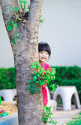 포토 JPG 해외이미지 나무 라이프스타일 응시 공원 얼굴 어린이 자연 놀이 한명 사람 동양인 목재 뷰티 환경 기쁨 표현 작음 엿보기 숨기 스타일 해외포토 식물 1 시선 공공시설 감정 재료 모션 인종 생활 신체부위 크기 생태계 파일형식 이미지허브