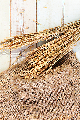 포토 JPG 해외이미지 식물 음식 꽃다발 백그라운드 농업 재료 태국 자연 밥 건조 건강 씨앗 사람없음 목재 농작물 갈색 노란색 수확 흰색 황금 플랫 정상 낟알 시리얼 밀 다발 유기농 질감 날것 브런치 귀 흙더미 내추럴 논밭 숙성 채식주의자 해외포토 나무 웰빙 꽃 산업 아시아 컬러 밭 곡류 논 신체부위 식사 흙 생태계 채식 파일형식 더미 이미지허브