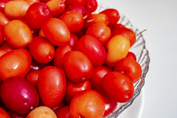 포토 JPG 해외이미지 식물 라이프스타일 열매 클리핑패스 음식 줄기 백그라운드 잎 과일 재료 자연 디저트 건강 사람없음 빨간색 초록색 세트 약 흰색 나뭇가지 신선 그룹 달콤 맛 숲 자르기 수집 오브젝트 유기농 흙더미 내추럴 고립 구성 숙성 크랜베리 많음 해외포토 나무 웰빙 컬러 컨셉 의학 모션 생활 흙 생태계 파일형식 더미 이미지허브