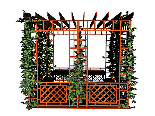 포토 JPG 해외이미지 프레임 사람없음 목재 그래픽 초록색 갈색 아이비 해외포토 나무 식물 컬러 재료 파일형식 이미지허브