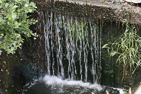포토 JPG 해외이미지 식물 직업 손 커플 행복 호수 얼굴 음식 백그라운드 비즈니스 가족 자연 거리 관리 서기 미소 사람 사람없음 야외 물 스마트폰 강 사무실 유행 걷기 폭포 흰색 잡기 그룹 승차 큼 책상 소화전 고립 넘어짐 해외포토 자연요소 감정 컬러 가구 관계 모션 표정 신체부위 핸드폰 스마트기기 안전장비 크기 생태계 파일형식 이미지허브