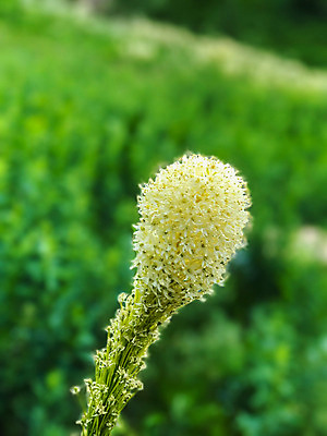 포토 JPG 해외이미지 사람없음 미국 폭포 빙하 사이클링 절정 해외포토 북아메리카 자연 육상스포츠 파일형식 이미지허브