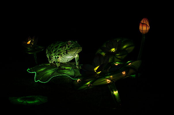 포토 JPG 해외이미지 전통 행복 문화 여행 휴가 거리 사람 이벤트 사람없음 컬러풀 축제 중국 기쁨 도시 군중 쇼 루마니아 연극 춘절 해외포토 명절 감정 유럽 아시아 컬러 문화예술 중국전통 파일형식 이미지허브