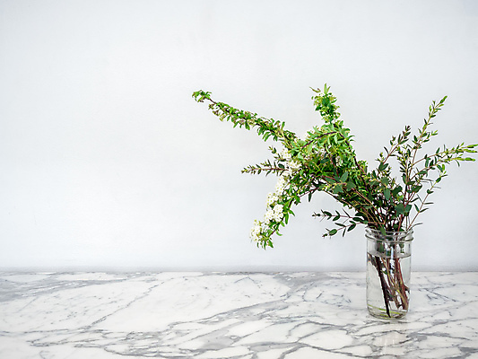 포토 JPG 해외이미지 모양 식물 디자인 꽃 화초 벽 백그라운드 잎 꽃무늬 자연 유리 탁자 주택 실내 사람없음 장식 초록색 물 정원 꽃병 방 성장 벚꽃 흰색 신선 항아리 투명 개화 고급 냄비 컨테이너 다발 유기농 대리석 내추럴 심기 카피스페이스 미니멀 해외포토 자연요소 웰빙 산업 컬러 가구 컨셉 무늬 재료 모션 재질 내부 건물 공백 도자기 솥 생태계 파일형식 이미지허브