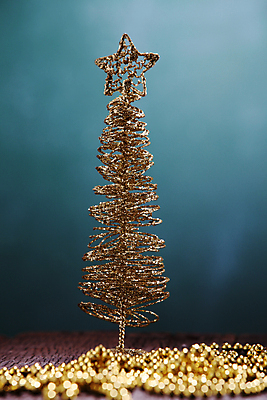 포토 JPG 해외이미지 모양 나무 전통 디자인 계절 별 크리스마스 휴가 기념 사람없음 장식 금속 축하 황금 12월 철사 해외포토 자연요소 식물 기념일 컨셉 재질 날짜 파일형식 이미지허브