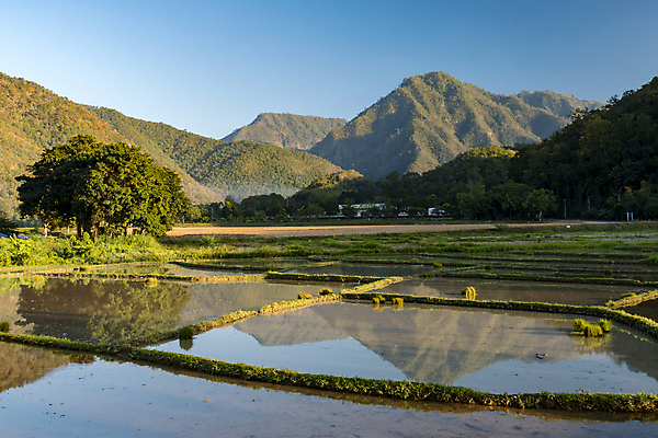 포토 JPG 해외이미지 식물 아시아 문화 음식 여행 백그라운드 농업 노래 태국 자연 밥 노동자 동양인 사람없음 야외 초록색 농장 시골 농부 숲 내추럴 논밭 밭일 해외포토 직업 나라 산업 음악 컬러 밭 논 인종 생태계 파일형식 이미지허브