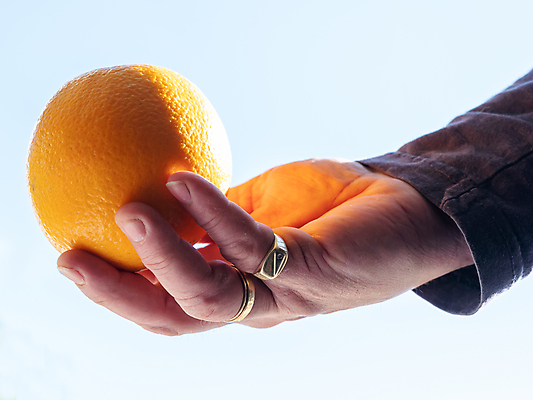 포토 JPG 해외이미지 1 음료 음식 다이어트 오렌지 과일 재료 자연 탁자 귤 주택 건강 관리 그림자 서기 사람 사람없음 식사 주스 신선 원형 달콤 맛 가득함 피부 묘사 오브젝트 준비 싱글 상쾌 유기농 고립 숙성 짜기 채식주의자 비건 해외포토 도형 웰빙 감정 가구 컨셉 모션 건물 신체부위 생태계 채식 파일형식 이미지허브