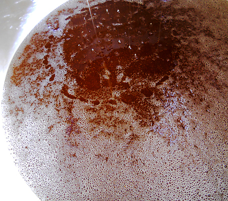 포토 JPG 해외이미지 음식 곤충 백그라운드 오렌지 건강 사람없음 야외 약 노란색 흐름 물방울 시골 신선 머리빗 액체 황금 달콤 맛 떨어짐 꿀벌 질감 날것 꽃가루 시럽 꿀 벌집 내추럴 밀랍 양봉 양봉장 어려움 왁스 해외포토 동물 컬러 컨셉 과일 의학 미용용품 벌_곤충 가루 파일형식 이미지허브