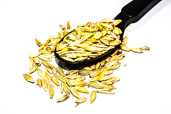 포토 JPG 해외이미지 식물 디자인 음식 빵 줄기 백그라운드 밭 농업 채소 일러스트 자연 밥 건강 옥수수 씨앗 사람없음 그래픽 농작물 세트 농장 노란색 라벨 빵집 수확 시골 시장 낟알 시리얼 밀 메밀 심볼 유기농 보리 귀 밀가루 내추럴 고립 밭일 수수 숙성 엘리먼트 호밀 귀리 해외포토 웰빙 산업 컬러 식재료 곡류 프레임 신체부위 상점 가루 생태계 파일형식 이미지허브