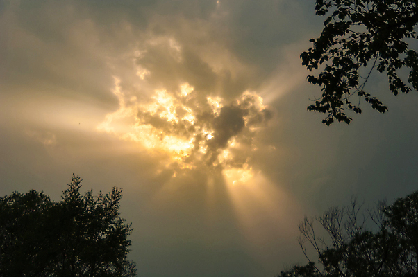 포토 JPG 해외이미지 나무 식물 구름 유럽 백그라운드 밭 자연 하늘 바람 날씨 풍경 사람없음 야외 가로 초록색 여름 컬러풀 태양 평화 침묵 봄 성장 시골 신선 저녁 숲 밀 지역 폭풍 파라다이스 평야 해외포토 자연요소 계절 나라 컬러 컨셉 농업 곡류 소리 야간 생태계 파일형식 이미지허브