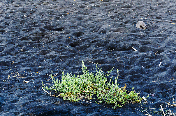 포토 JPG 해외이미지 유럽 바다 섬 여행 휴가 어업 사람없음 초록색 검은색 희망 이탈리아 화려 보트 역사 유혹 화산 네비게이션 착륙 생존 해외포토 감정 나라 산업 컬러 컨셉 배_교통 산 파일형식 이미지허브