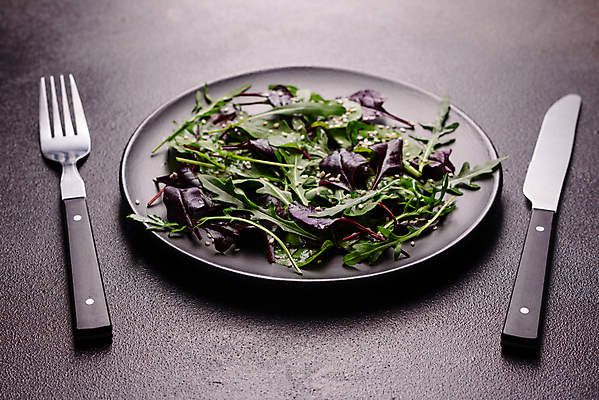 포토 JPG 해외이미지 음식 백그라운드 잎 다이어트 채소 과일 재료 부분 건강 사람없음 초록색 빛 식당 저녁식사 봄 샐러드 신선 맛 상추 메뉴 유기농 날것 깨 레시피 시금치 아보카도 내추럴 점심식사 루꼴라 비트 섞기 채식주의자 비건 해외포토 식물 웰빙 계절 컬러 컨셉 식재료 상점 식사 조미료 채식 파일형식 이미지허브